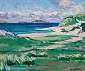 Grassy foreground leading to beach, cliffs and sea