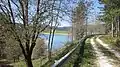 Lakeshore
