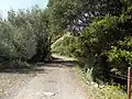 Lynch Road