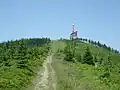 In summer