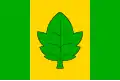 Flag of Město Albrechtice