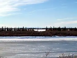 A frozen river passes through flat country. Short trees grow on the riverbanks; tall mountains are in the far distance.
