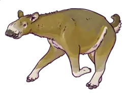 Life restoration of Macrauchenia, a camel-sized ungulate