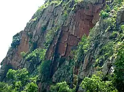Northward tilt in sedimentary rock strata, caused by igneous activity