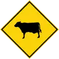 Domestic animals