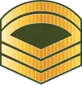ސާރޖަންޓް ފަސްޓް ކްލާސް Saarjant fast klaas (Maldives National Defence Force)[6]