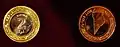 Maldivian coins