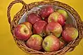 Malus Roter Trierer Weinapfel 4211.jpg