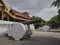 The cannon