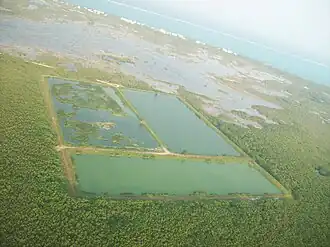 Manmade ponds