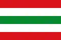 Flag of Manzanal del Barco