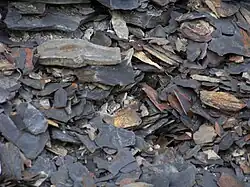 Many irregular pieces of rock in different sizes.