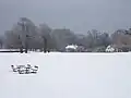 Winter scene