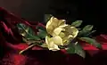 Martin Johnson Heade: Magnolia