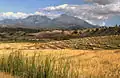 Harvested rice fields of Matebian, Timor-Leste