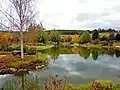 The ornamental landscape