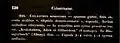 First description from "Enumeratio Plantarum Africae Australis Extratropicae" - Ecklon & Zeyher (1835)