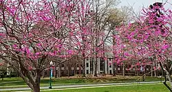 McAllister Hall