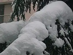 Mende in winter