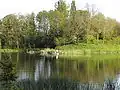 Lake in Mezőcsokonya