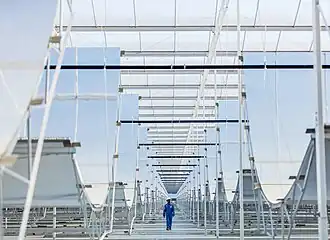 A look at the curved mirrors used at the Miraah facility