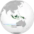 Map of countries and territories that won at the inaugural edition of the Miss Cosmo pageant, where Indonesia bagged the first crown.