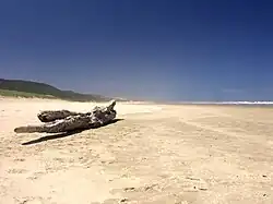 Mitimiti Beach