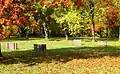 Horseshoe pits