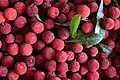 Fruit
