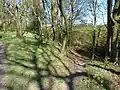 Leafy woodland trail in Moss Valley Woodlands