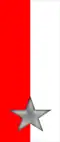 151st Infantry Regiment "Sassari"