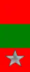 251st, 252nd Rgt. "Massa Carrara"