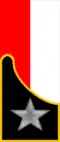 "Sassari" brigade artilleryNote