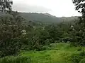 Mount Abu in Monsoon