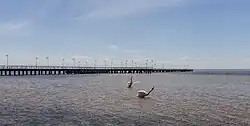 Pier
