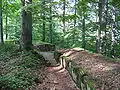 Sarmizegetusa Regia, Romania