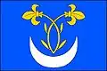 Flag of Nítkovice