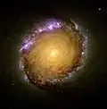 The nuclear ring of NGC 1512 as imaged by the Hubble Space Telescope (HST). Credit: HST/NASA/ESA.