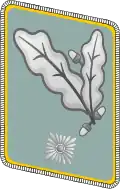 NSFK gorget patch