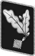 NSKK gorget patch