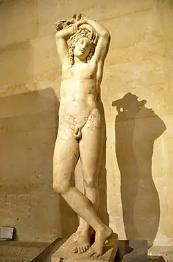 Narcissus