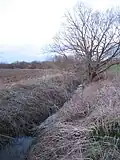 The brook at Žigárd