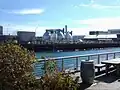 Newtown Creek Nature Walk: Whale Creek, sewage plant in distance