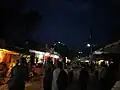 Night view of Maa Sharda Mandir from local market on 09-04-2019