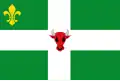 Flag of Nijland