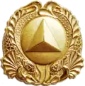 NOAA Corps Diver Badge