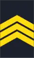 Помлад водник Pomlad vodnik (North Macedonian Ground Forces)[12]