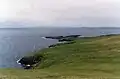 Sula Sgeir from North Rona.