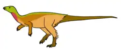 Notohypsilodon comodorensis