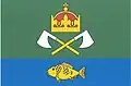 Flag of Nová Ves